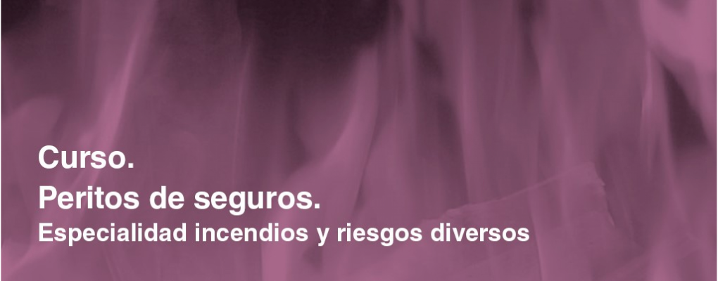 Curso. Peritos de seguros. Especialidad incendios y riesgos diversos.Actualizado a normativa vigente.  6ª edición